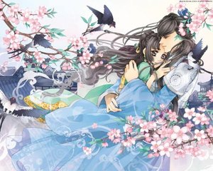 大象伊甸园入口2020